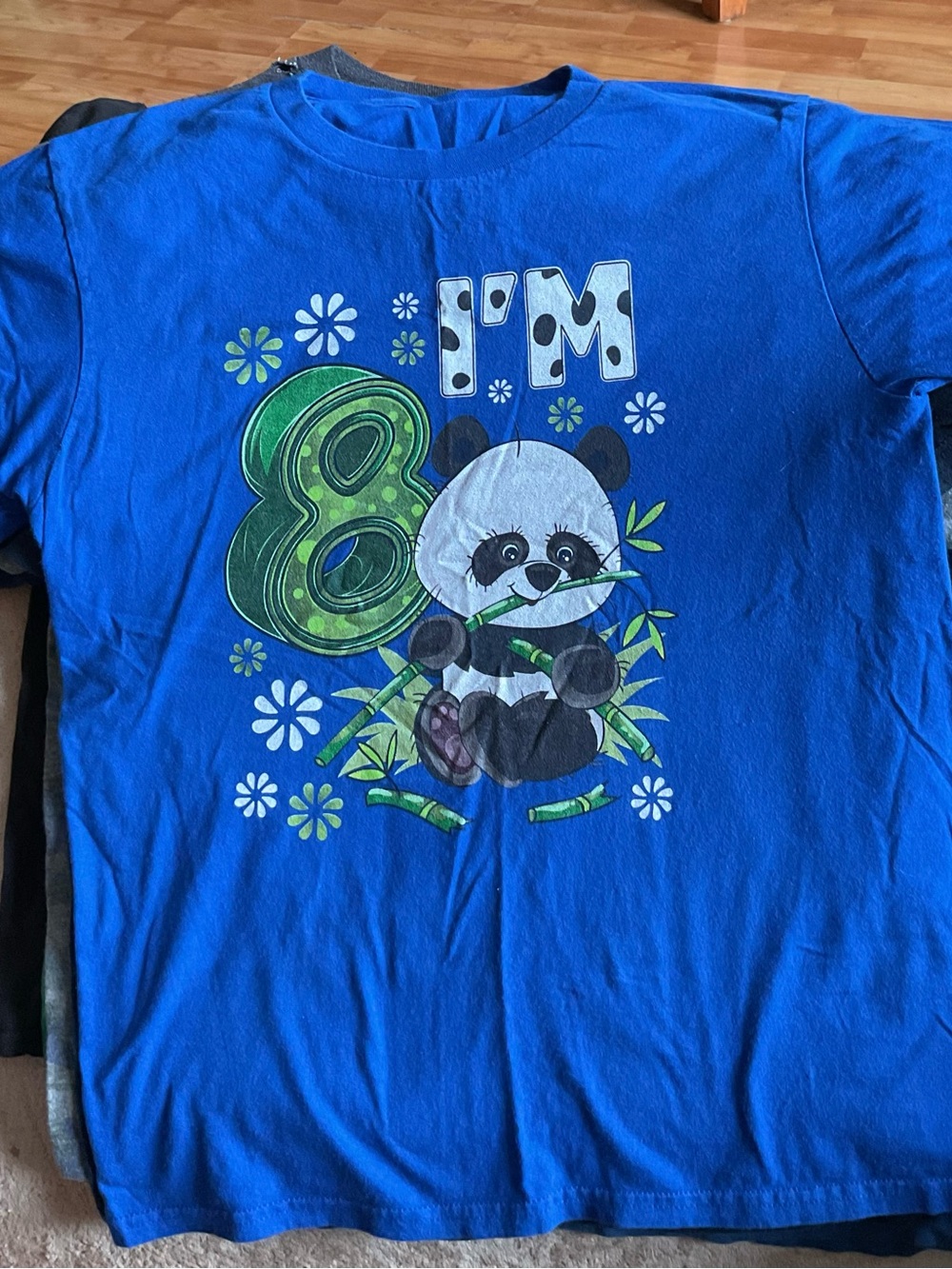 8 Year Old Birthday Panda Shirt Kids Short Sleeve Tee